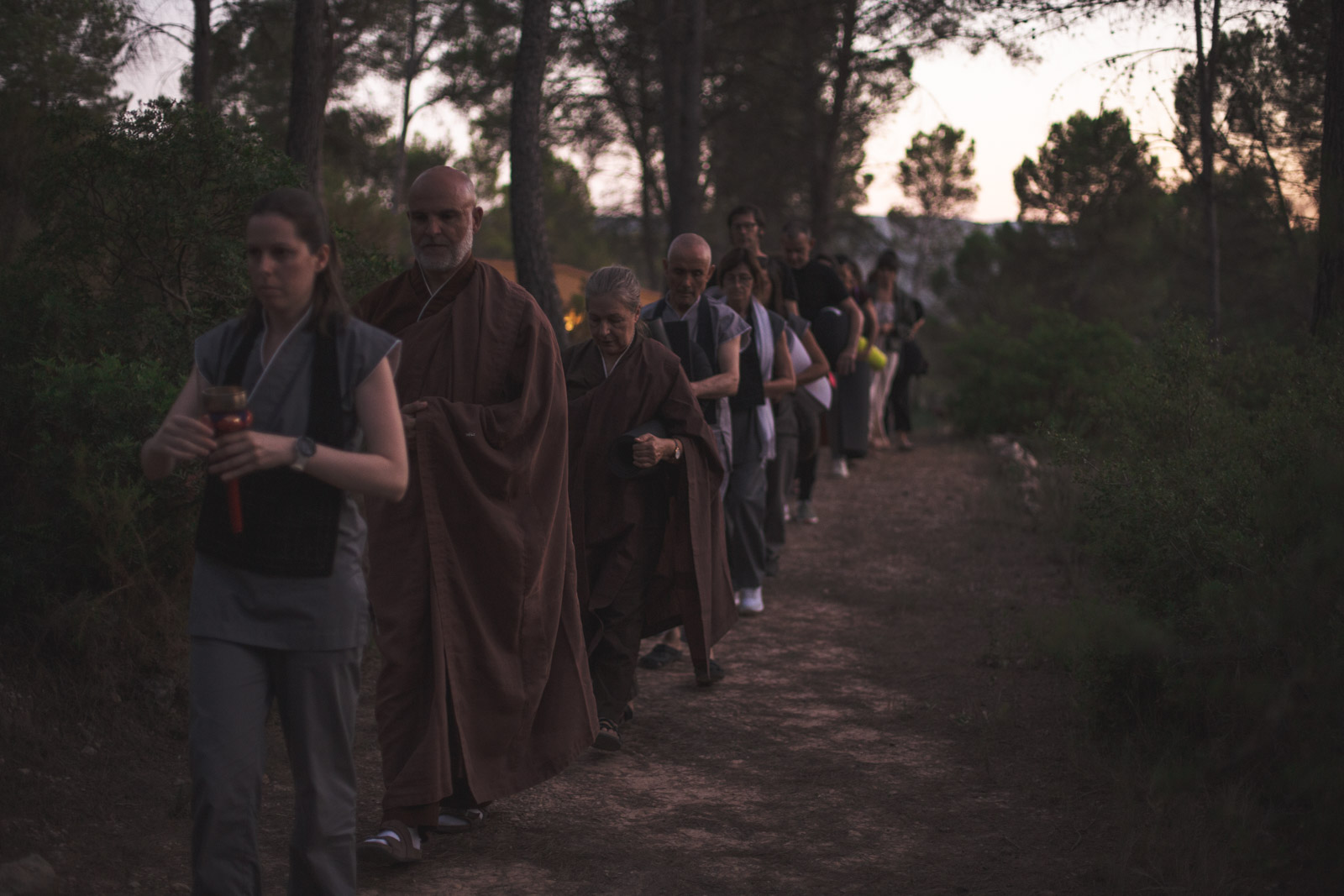 Imagen de portada de El maestro zen, el amigo de bien.