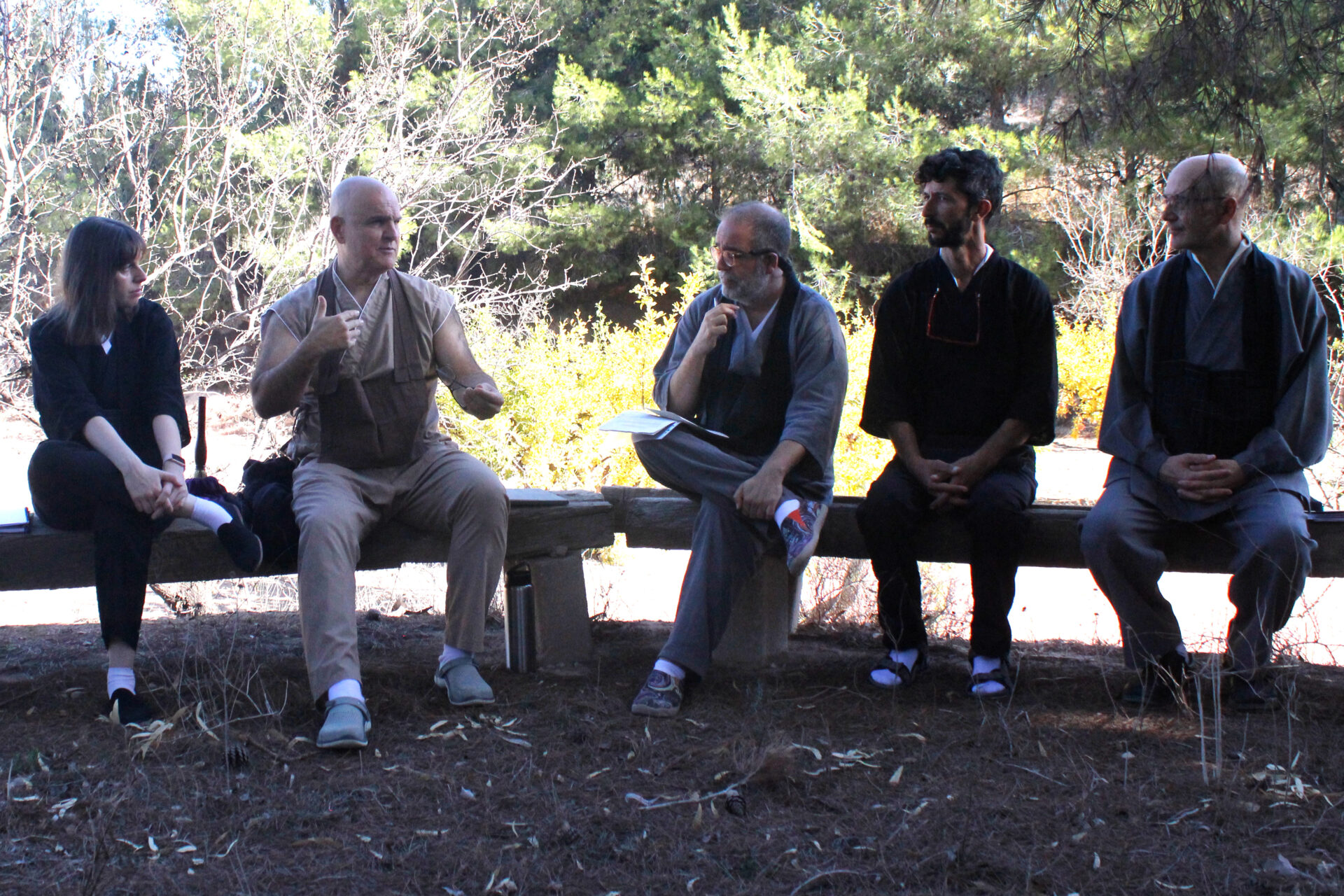 Imagen de portada de La Vía del Buda: Recuperando nuestra Libertad en la Sociedad de Consumo